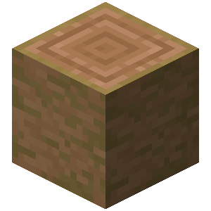 stripped_jungle_log